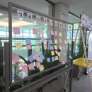 (주)금강E&D경산점 | 대구대 교육대학원 상담심리 5학차 후기, 등록금