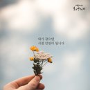 시절인연 - 서귀포시 용흥로 42 | 시절인연