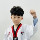국가대표 효 태권도 이미지