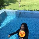 🇻🇳