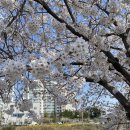 연포가든 이미지