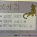 캣케밍 이미지