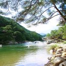 명승 거창 수승대 이미지