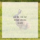 백점한의원 이미지