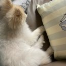 대영에너지(주) | 서로를 닮아 기울어진 삶_5월(1)