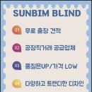 비비안잉글리쉬