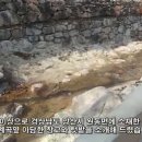 선리농장 이미지