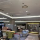 신세계종합유통 | 바이레도 "인플로레센스" feat. 30만원대 생일선물 추천, 가격, 천안 신세계 매장