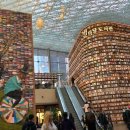 스타무역 이미지