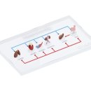 에드케어 이미지