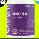 더담랩
