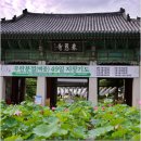 선원용품점 | 서울 · 7월 · 8월 가볼 만한 곳 유명한 절 · 사찰 봉은사 연꽃축제, 명소 삼성 코엑스 · 스타필드...