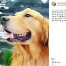 제우스농장 이미지