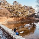 24.1,28 영주선비촌 / 안동 봉정사 /월영교 /찜닭골목 이미지