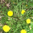 장성초등학교 이미지