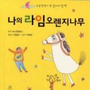 나의라임오렌지나무