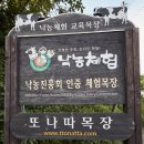 사강스마트팜캠핑장 이미지