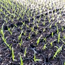 계성농장 이미지