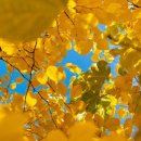 제이사랑정형외과의원 이미지