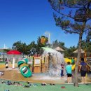 영덕고래불국민야영장 이미지