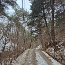 솔비네 집 | 가평 운악산 출렁다리와 현등사 다녀온 후기!(주변 카페 솔비에르 추천!)