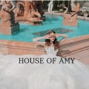 에이미하우스 이미지