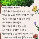 두바퀴상사 이미지