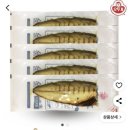 마운자로 한 달 후기!!