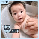 스펀지 - 포항시 북구 중앙상가길 19 | 아기 목욕스펀지 사용 후기, 무르무르 베이비 곤약 스펀지