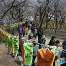 와룡자원 이미지