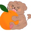 구래상회