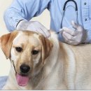 수영종합동물병원 이미지