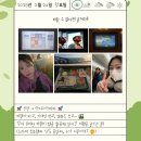 청년트리 티스토리