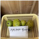 계곡펜션 이미지