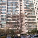 유원2차아파트 이미지