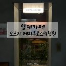 오크라-에피쿠로스의정원 이미지