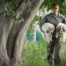 작은농장 이미지