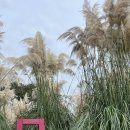 청산한우목장 이미지