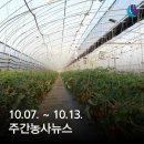 농업회사법인 다해미곡처리장(주) | 주간농사뉴스 2023.10.07.~10.13.