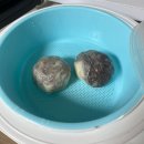 [후기] 부산 깡통시장 옛날찐빵만두 - 시스루 찐빵 택배 후기