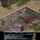 넷토피아