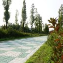 자원환경사업소가는길 이미지