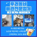365대박
