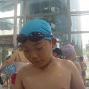 어린이대공원수영장 이미지