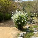 친환경나눔텃밭 | [2026 은평구 친환경 나눔텃밭] 개장식 🪴