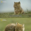 (주)보경팜 | 나 이모티콘 받고 싶어요...^_~