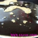 고기먹고밥먹고 이미지