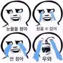 차가좋다 | 라섹(한지3개월차가쓰는)후기