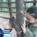 서문유치원 이미지