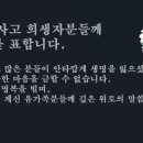 사춘기 여드름 관련으로 약국 거 이것저것 써봤어요 이미지